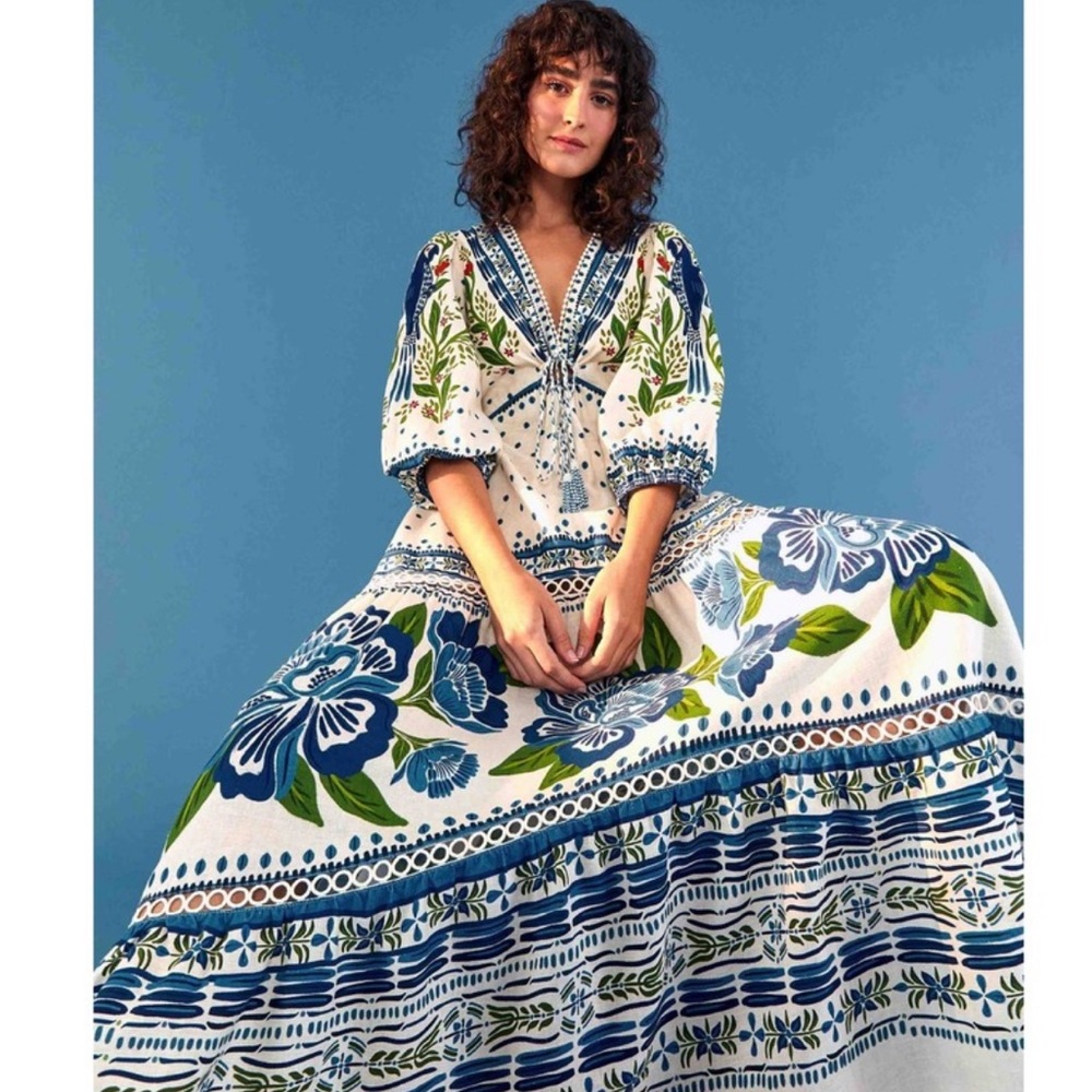 Farm Rio Blue Macaw Maxi Dress - Picture 4 of 6